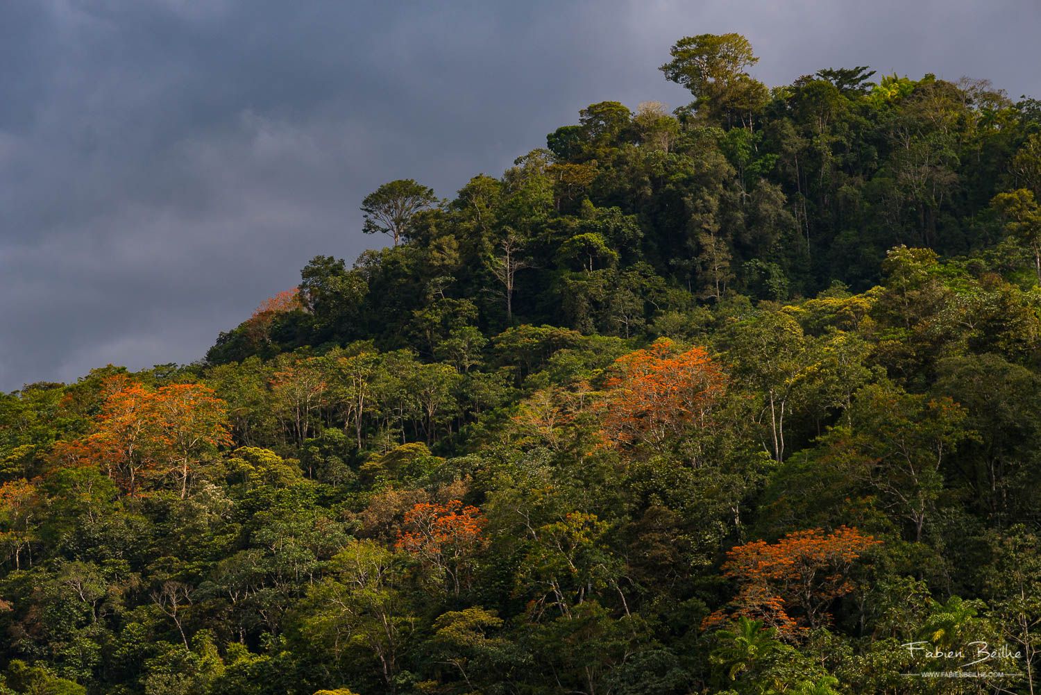 Un paysage sous-exposé