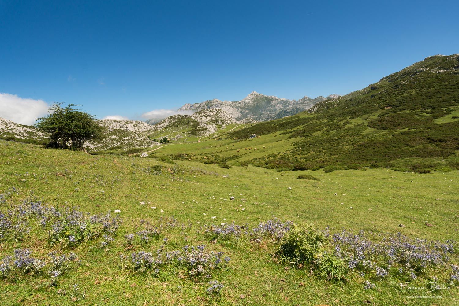 Le même paysage photographié avec un filtre plarisant