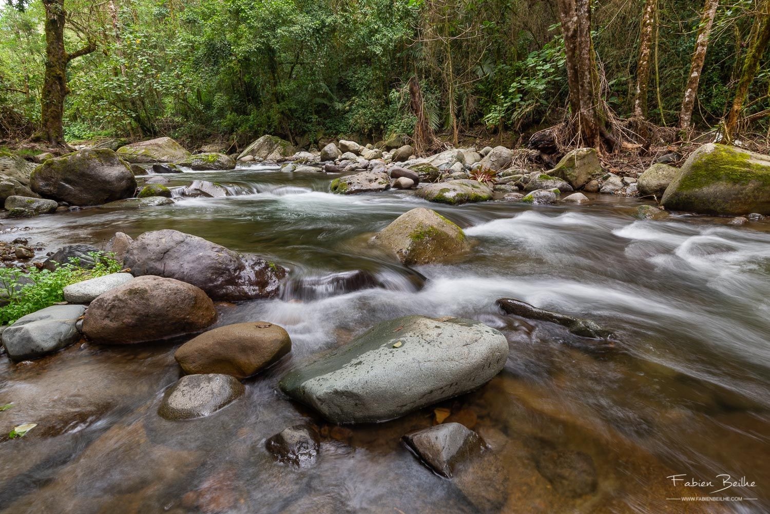 Une rivière photographiée sans filtre