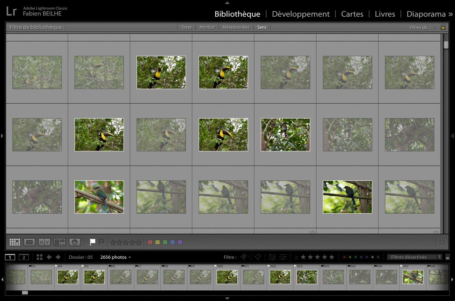 Le tri des photos dans le logiciel Lightroom