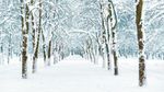 Tutoriel pour prendre des photos de neige 