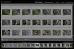 Le classement des photos dans Lightroom