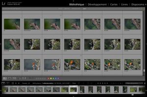 Le classement des photos dans Lightroom