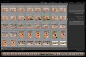 Le tri des photos dans le logiciel Lightroom