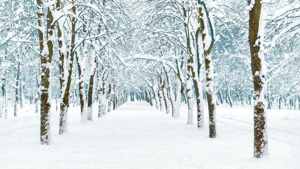 Tutoriel pour prendre des photos de neige 