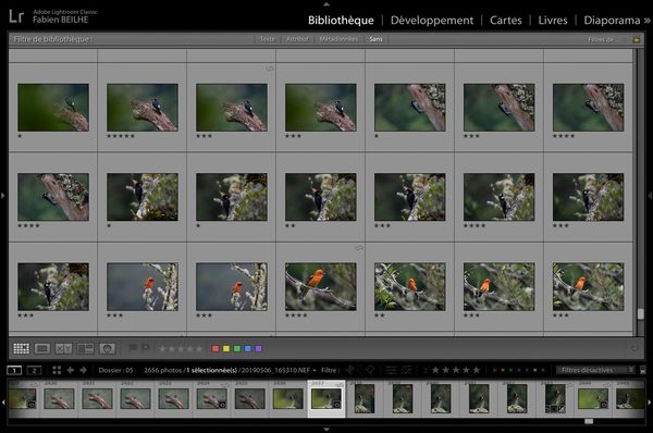 Le classement des photos dans Lightroom