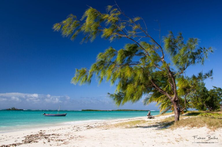 Comment ne pas rater vos photos de vacances ?
