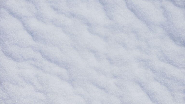 Le problème n°1 avec les photos de neige