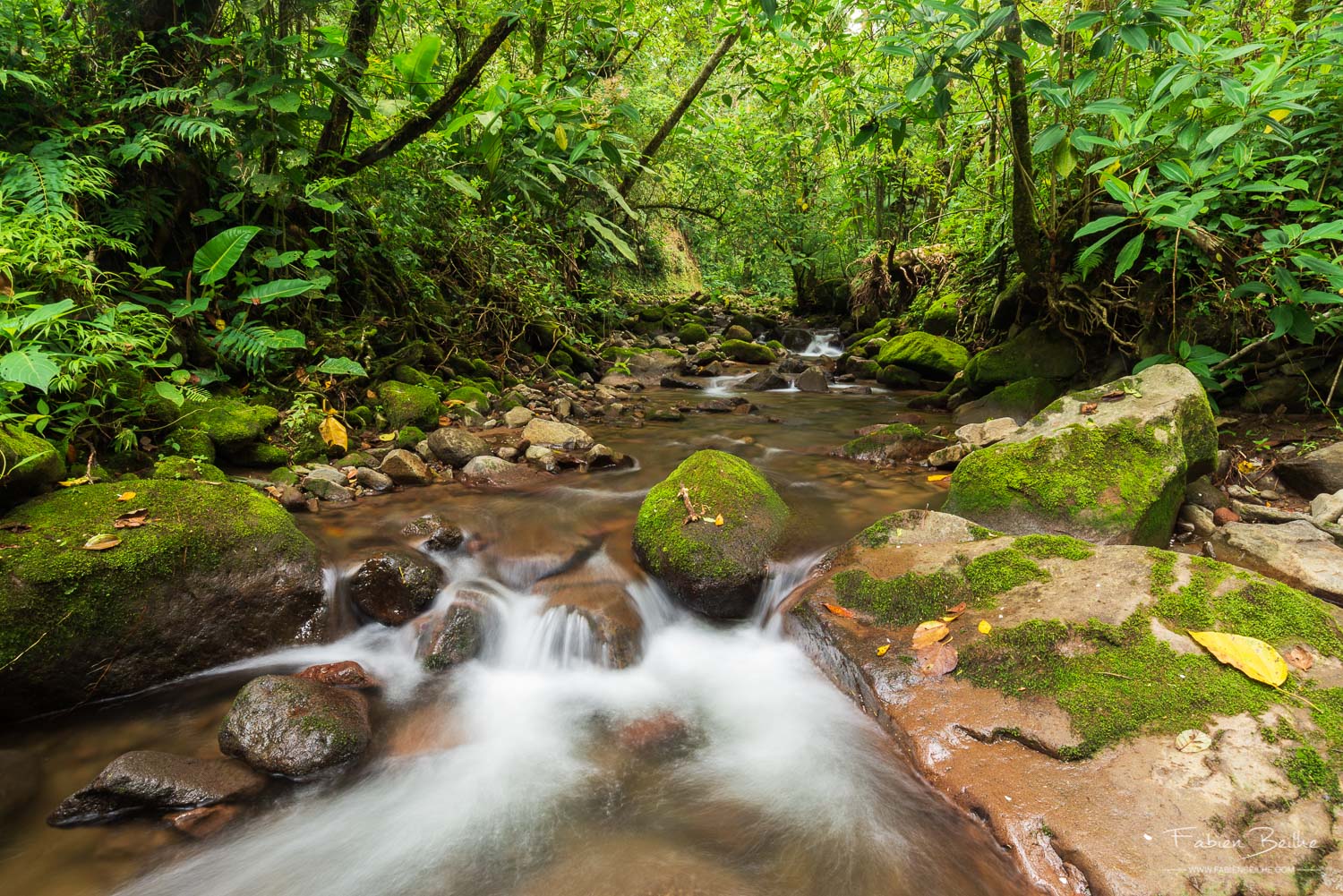 Une photo prise au milieu d'une rivière