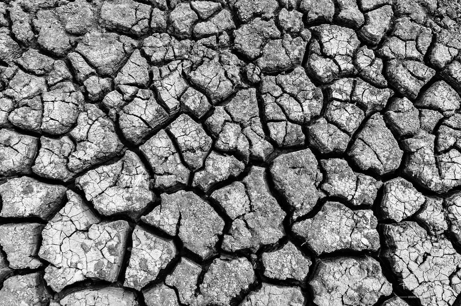 la sécheresse forme une texture sur le sol
