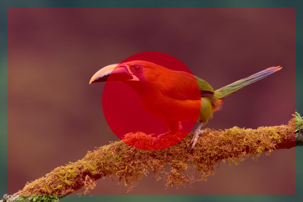 mode-pondere-centrale Une illustration des modes de mesure de la lumière