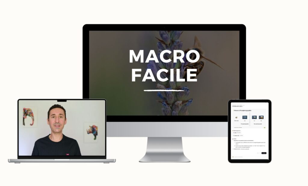 Présentation de la formation Macro Facile
