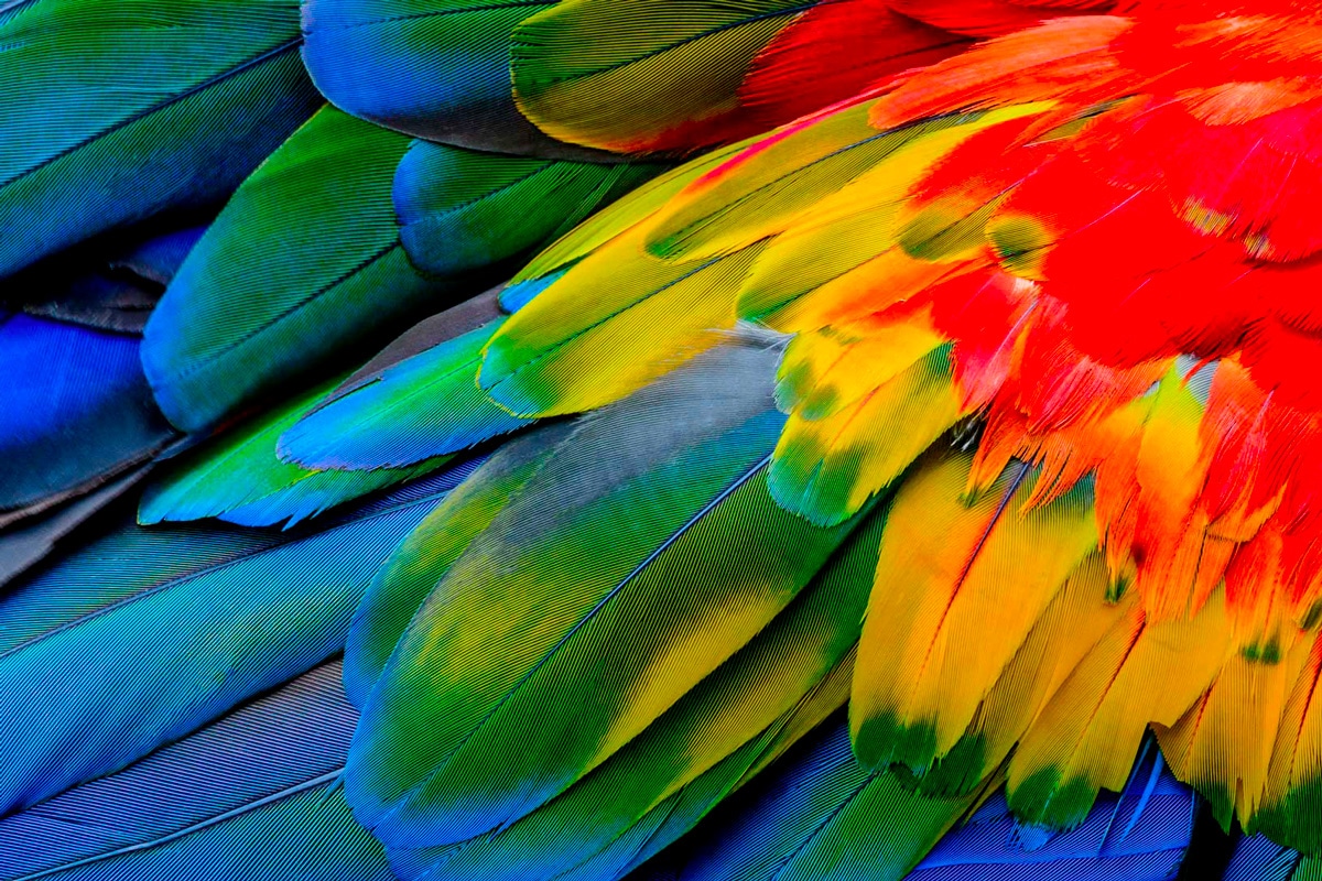 Image of Paiement en 2 fois